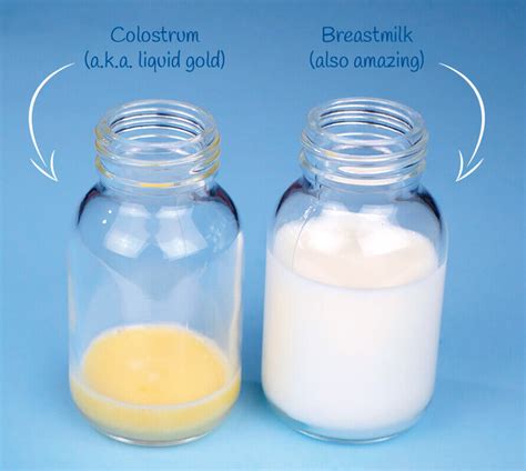 leaking colostrum at 32 weeks|Understanding The Timing Of Breast Leaking During Pregnancy